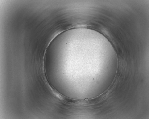 X0000066941194200604071904