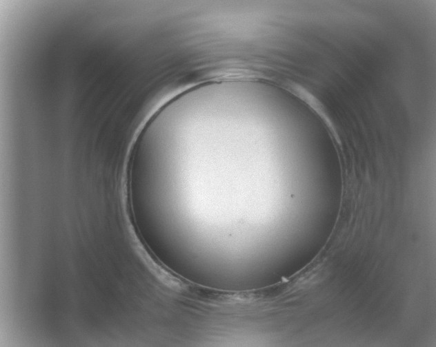 X0000066941195200604071904