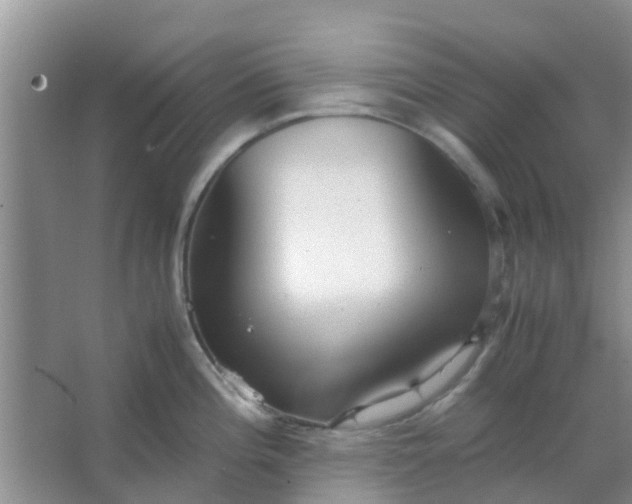 X0000066941196200604071904