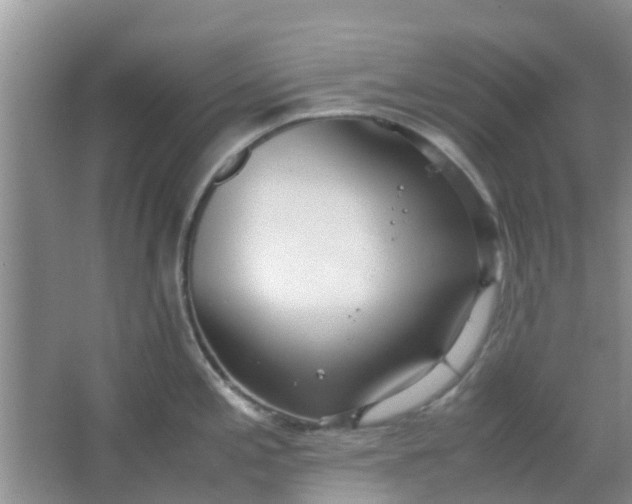 X0000066941197200604071904