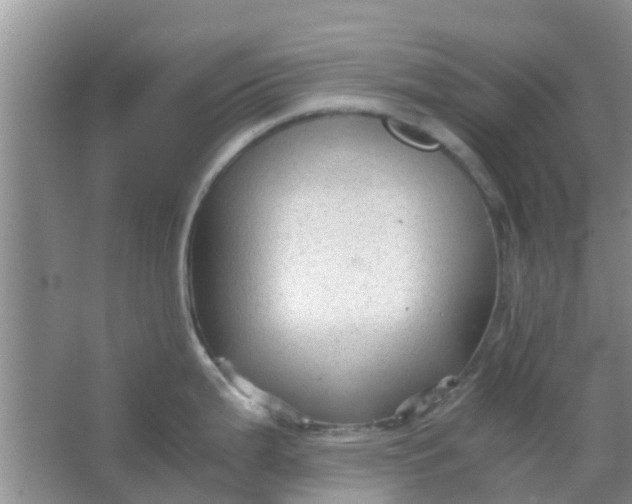 X0000066941199200604071904