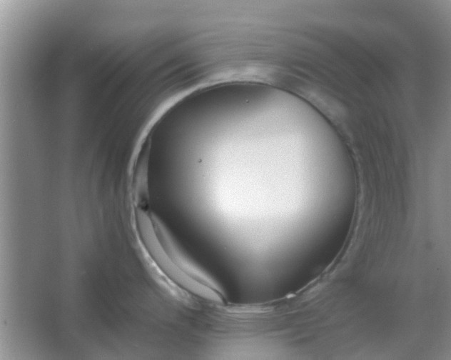 X0000066941200200604071904