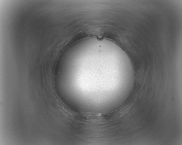 X0000066941201200604071903