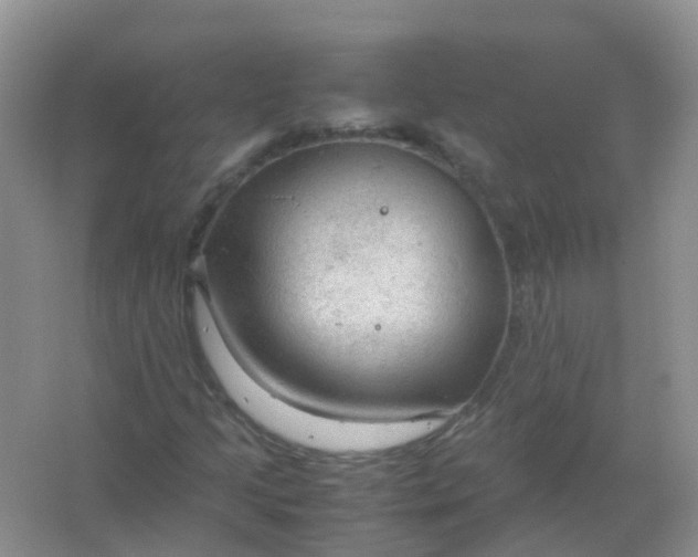 X0000066941205200604071903