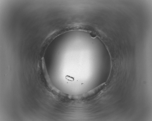 X0000066941206200604071903