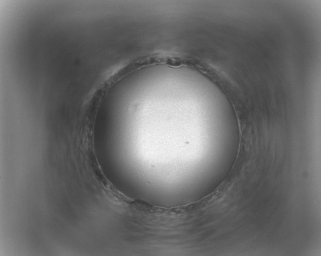 X0000066941207200604071903