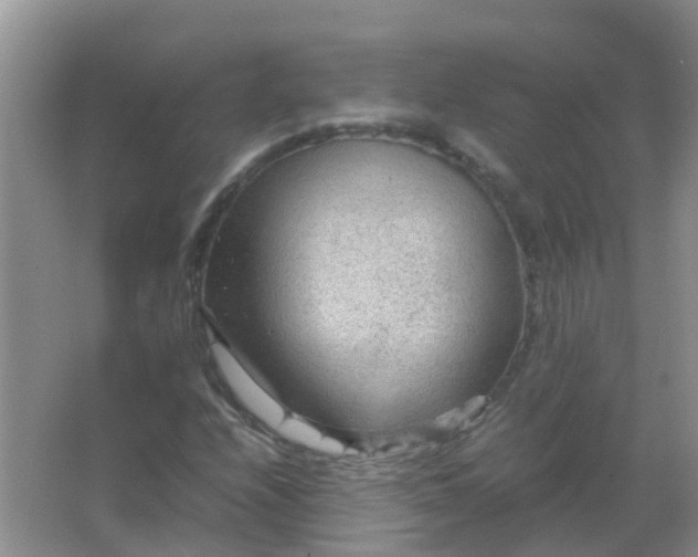 X0000066941208200604071903