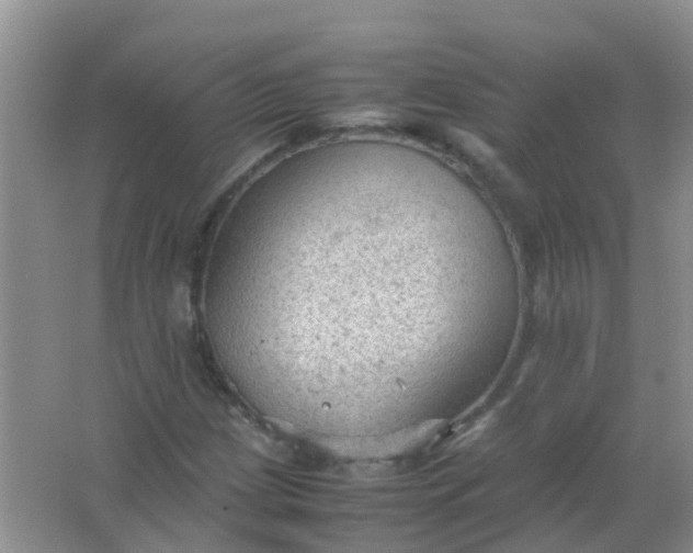 X0000066941209200604071903