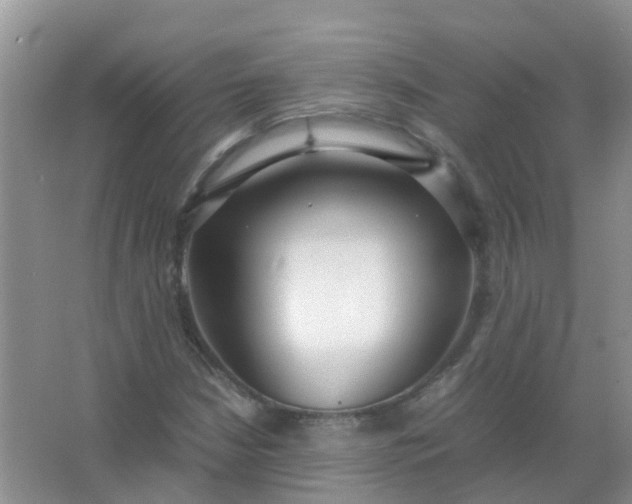 X0000066941210200604071903