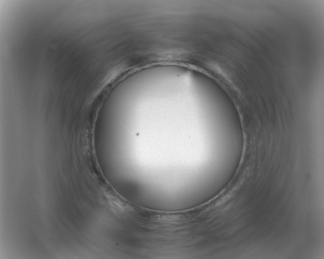 X0000066941211200604071903