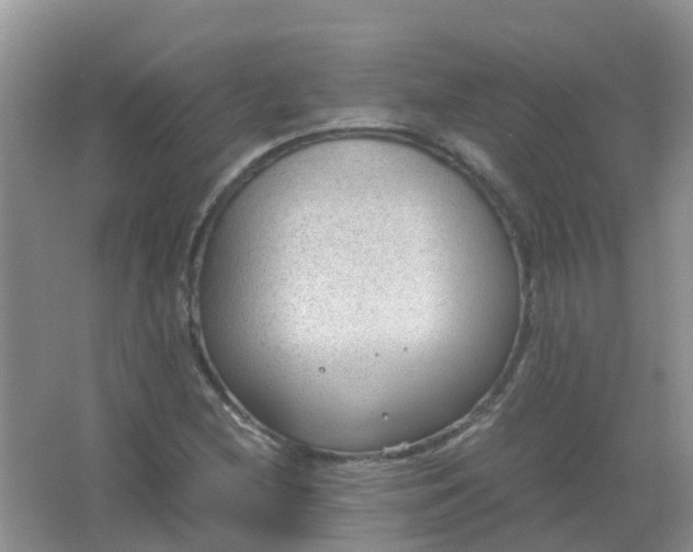 X0000066941212200604071903