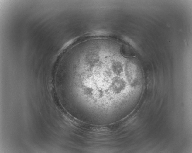 X0000066941213200604071903