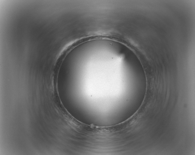 X0000066941214200604071903