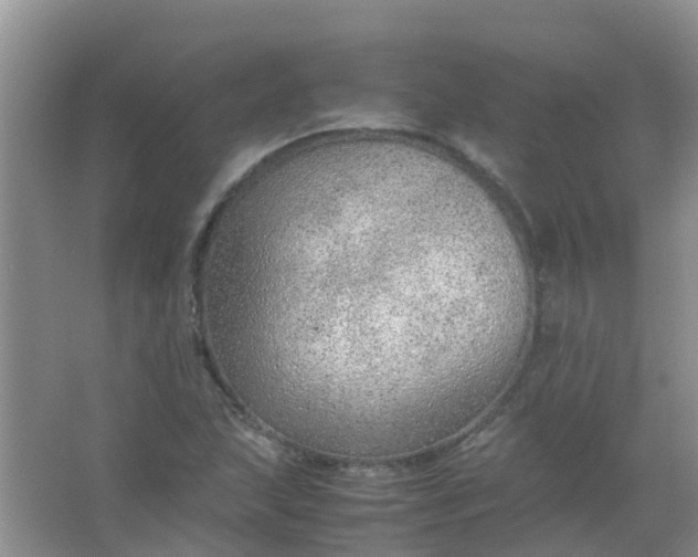 X0000066941215200604071903