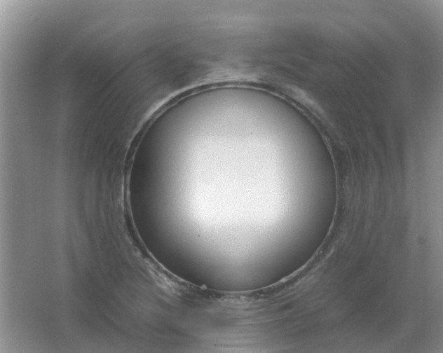 X0000066941220200604071904