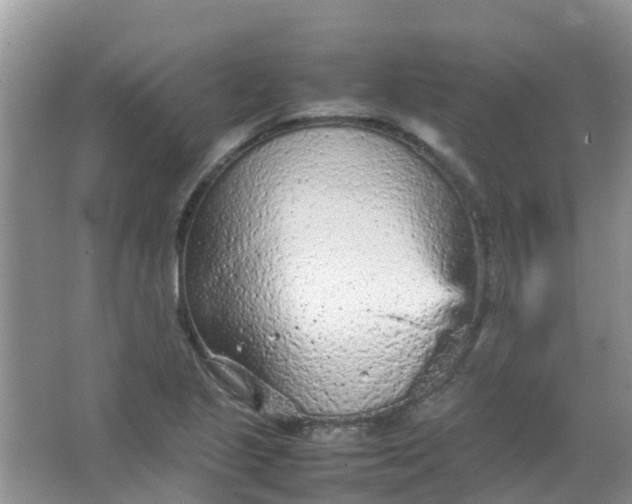 X0000066941221200604071904