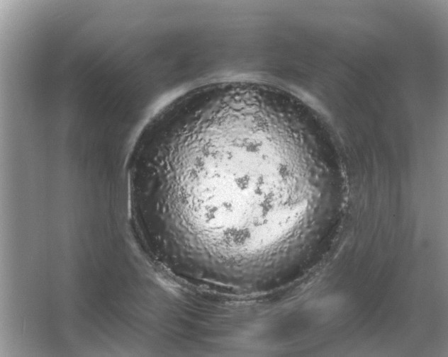 X0000066941223200604071904