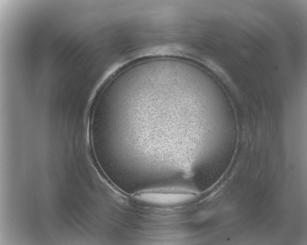 X0000066941224200604071904