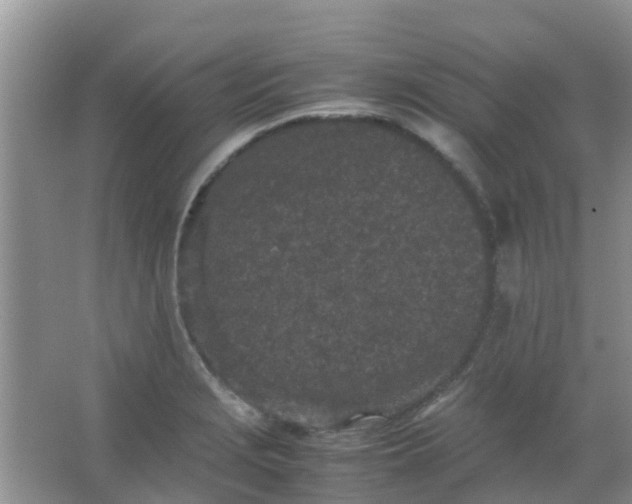 X0000066941229200604071904