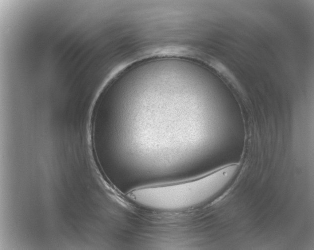 X0000066941232200604071904