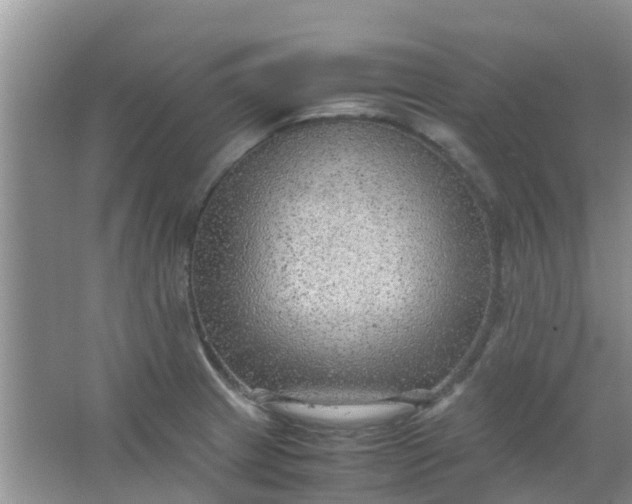 X0000066941233200604071904