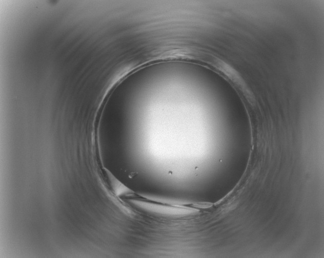 X0000066941234200604071904