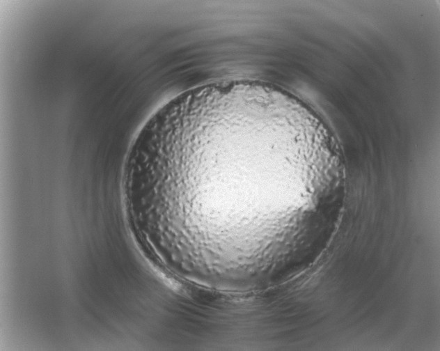 X0000066941235200604071904