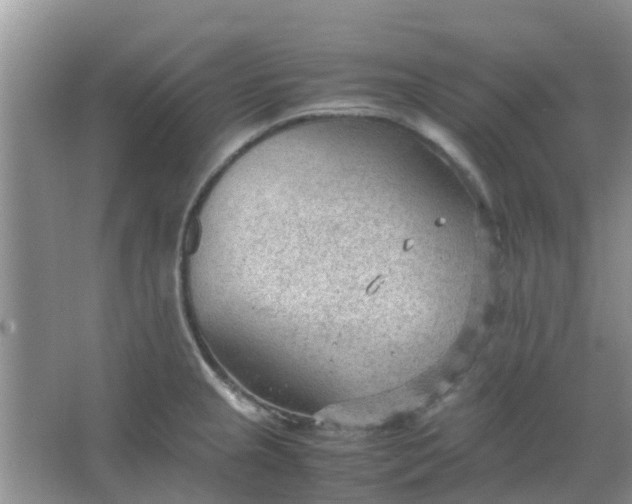 X0000066941237200604071904