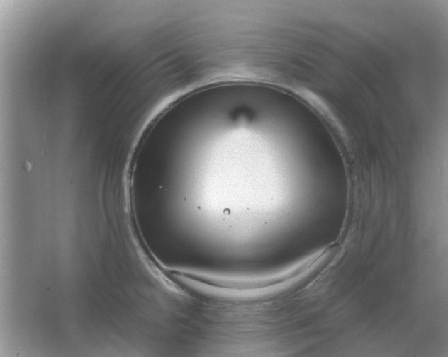 X0000066941238200604071904