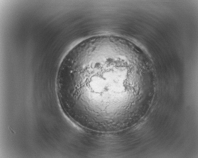 X0000066941239200604071904