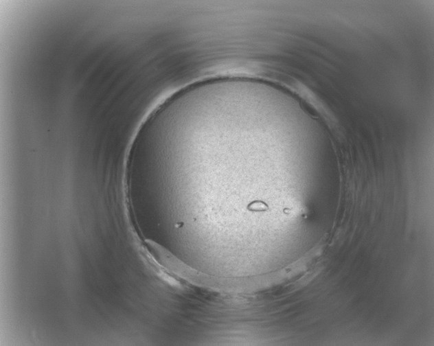 X0000066941240200604071904