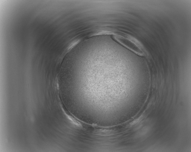 X0000066941241200604071904