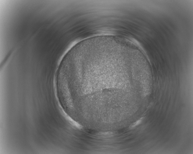 X0000066941243200604071904