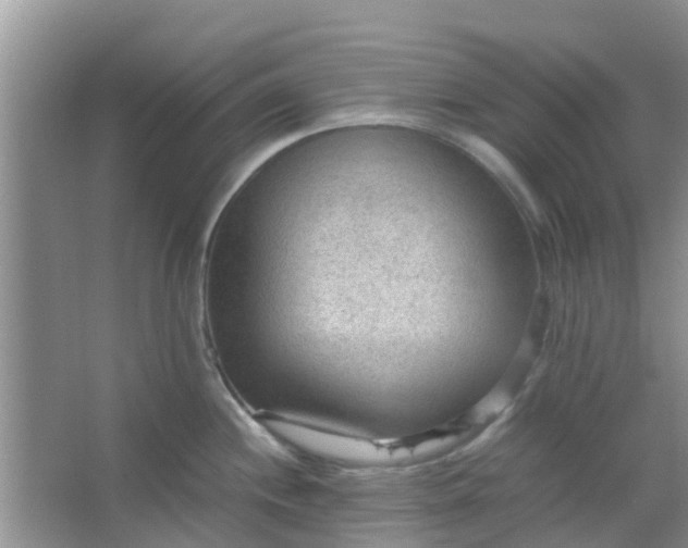 X0000066941244200604071904