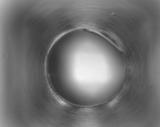 X0000066941246200604071904