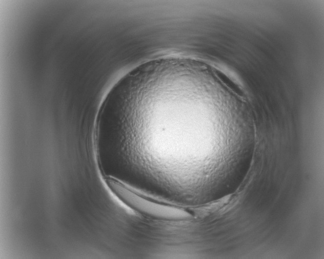 X0000066941247200604071904