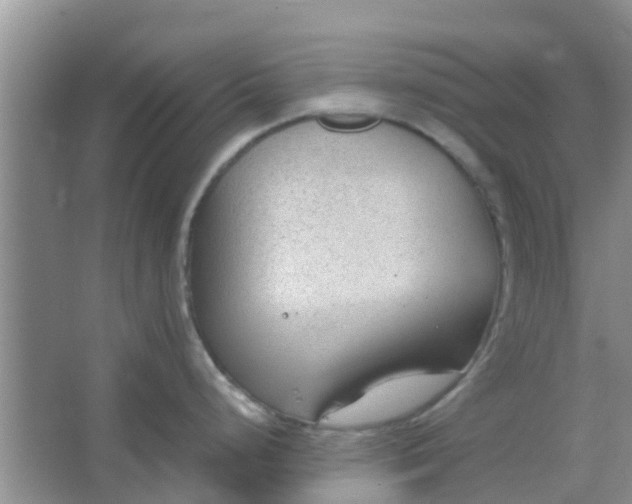 X0000066941248200604071904