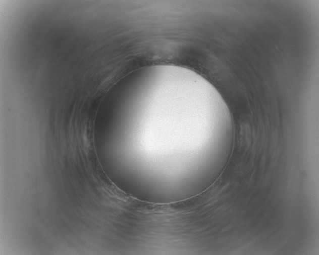 X0000066941250200604071903