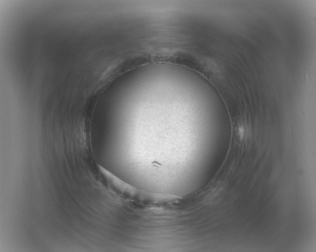 X0000066941252200604071903