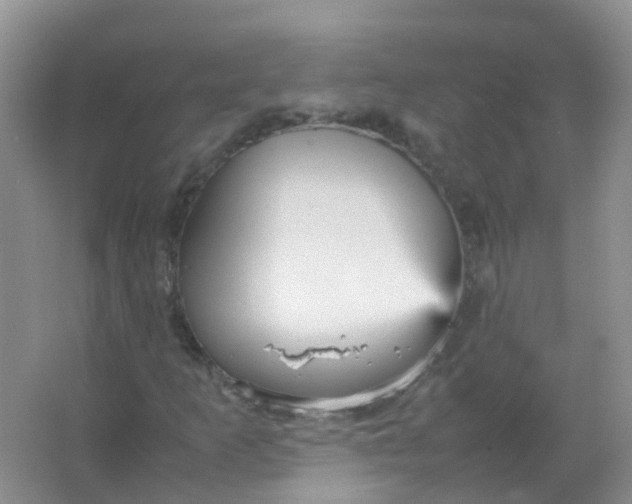 X0000066941253200604071903