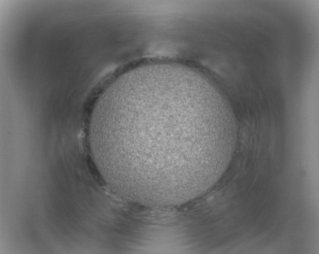 X0000066941254200604071903