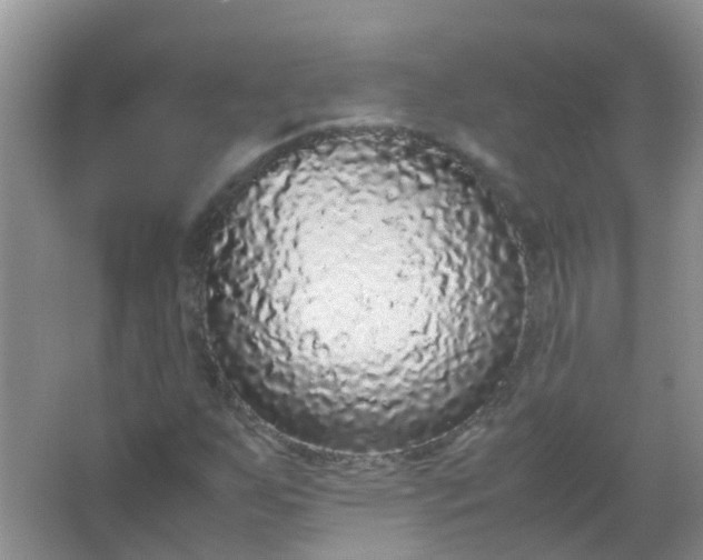 X0000066941255200604071903