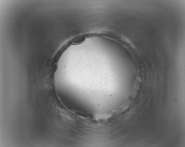 X0000066941256200604071903