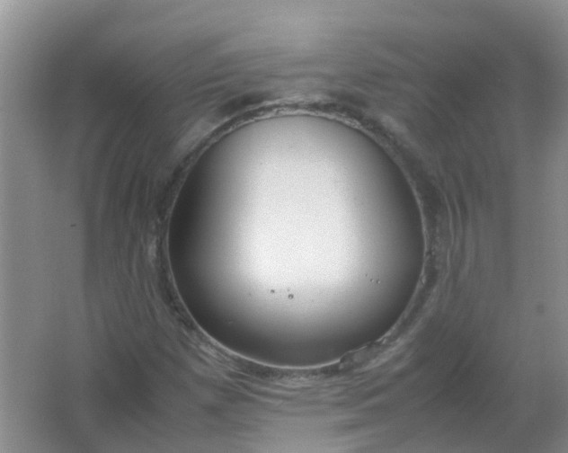 X0000066941257200604071903