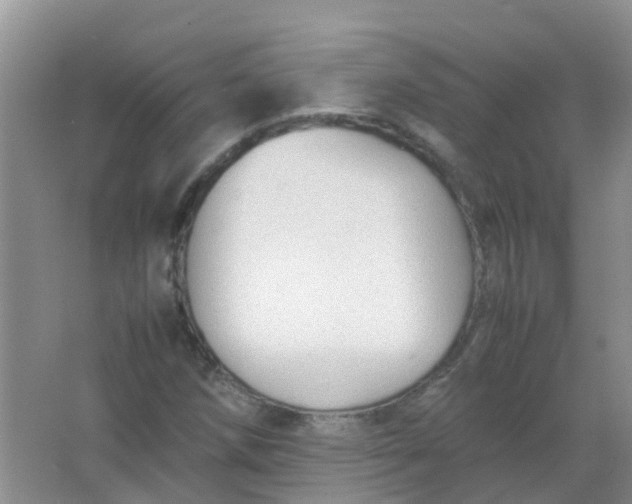 X0000066941258200604071903