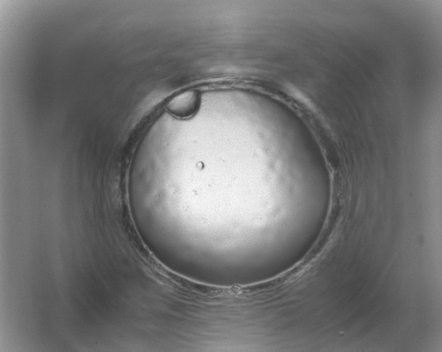 X0000066941259200604071903