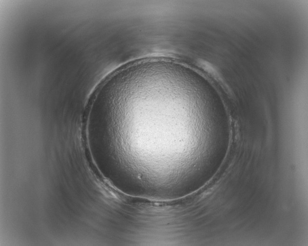 X0000066941260200604071903