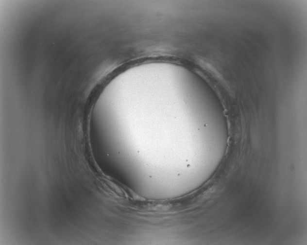 X0000066941261200604071903