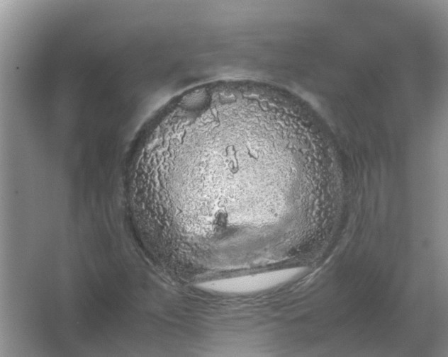 X0000066941263200604071903