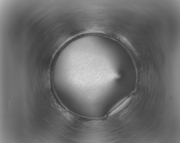 X0000066941268200604071903